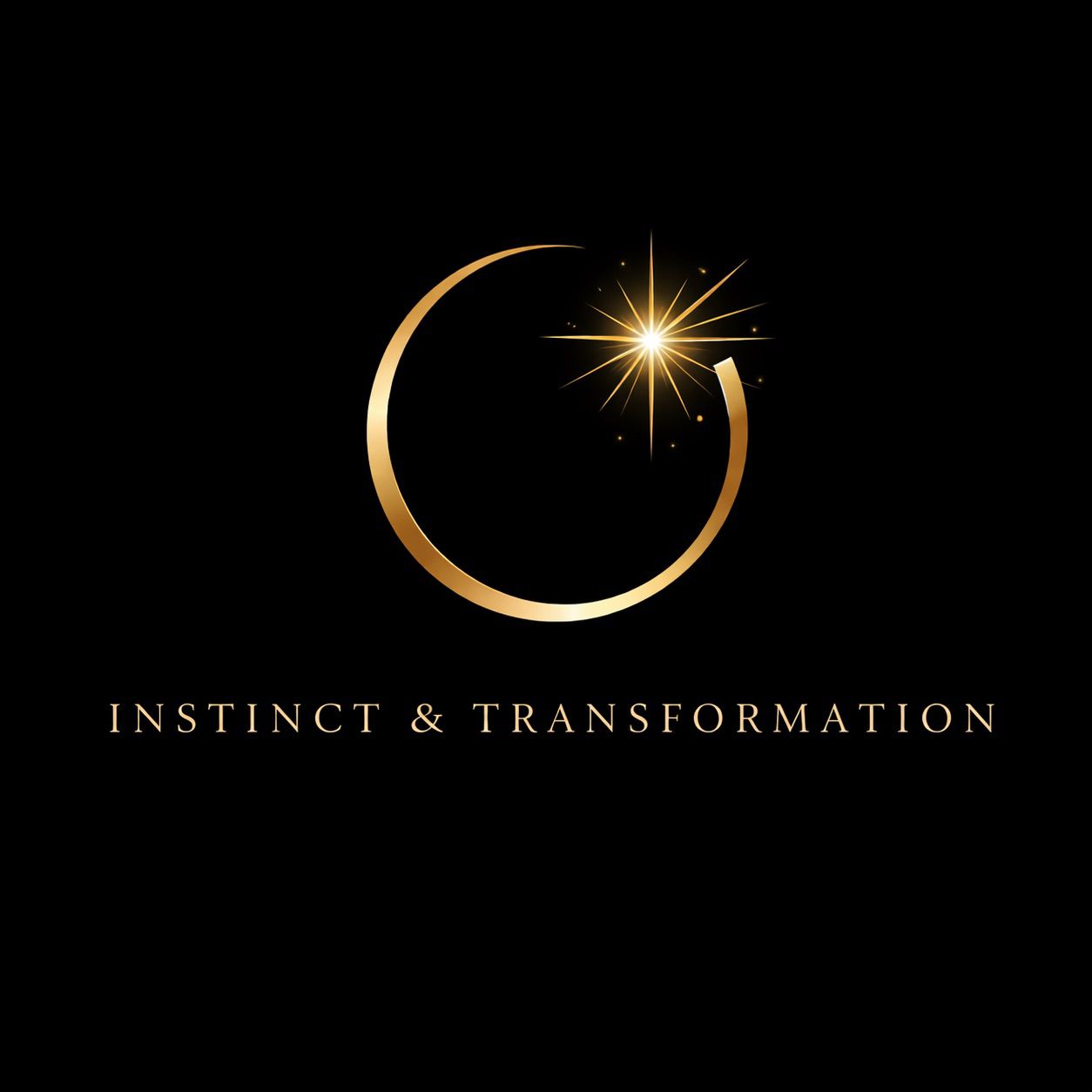 WhatsApp Image 2026-04-14 at 16.44.22